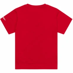 Troy Lee Designs T-Shirt Badge Junior -ADM Sport Boutique TLD 25 YOUTH SS TEE BADGE TEAMRED 02