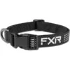 Collier Pour Chien - FXR